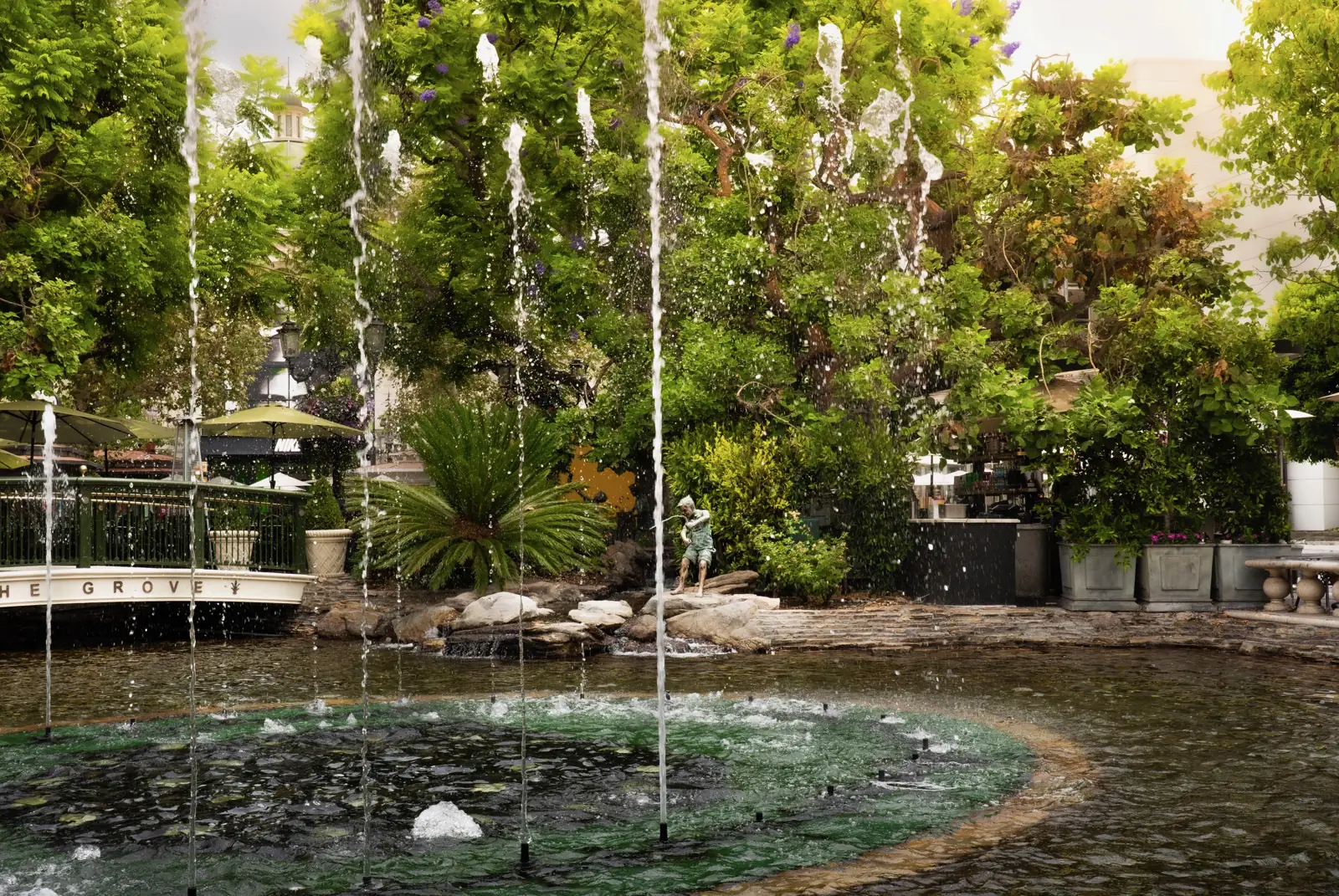 Irrigation & Water Management