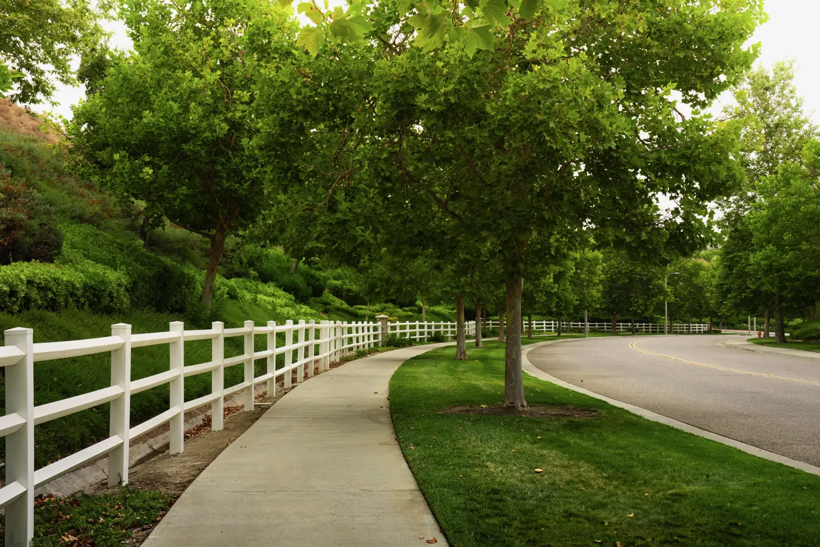 Landscape & Hardscape Design
